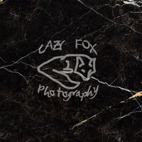 Profile picture for John Boyle