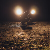 Profile picture for Nick Boerkamp