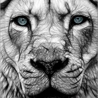 Profile picture for Brock Heilman