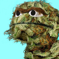Profile picture for AD T