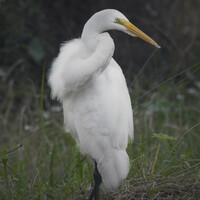 Profile picture for patti clayton