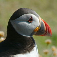 Profile picture for David Udin