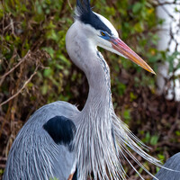 Profile picture for Robert McCaslan