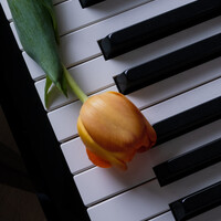 Profile picture for Jeffery Cullman