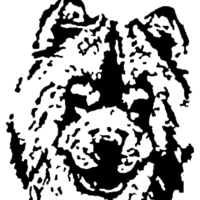 Profile picture for John Dupre