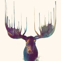 Profile picture for Espinoza Sigler