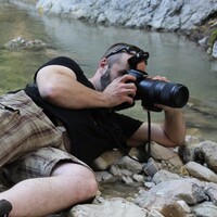 Profile picture for Andrea Celli