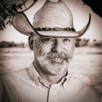 Profile picture for Perry Jefferies