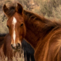 Profile picture for Douglas Black