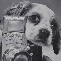 Profile picture for Seymour Pampre