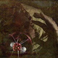 Profile picture for John Quin