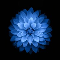 Profile picture for angel garrett