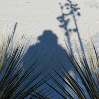Profile picture for Nathan Foster