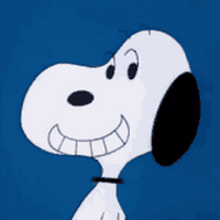 Profile picture for BRAD HINESLEY