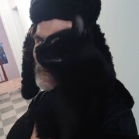 Profile picture for Russell Scott