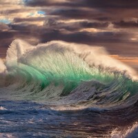 Profile picture for Giovanni Allievi
