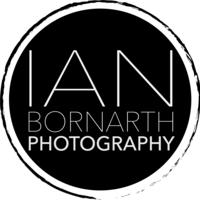 Profile picture for Ian Bornarth