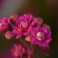 Profile picture for Ran Zilber
