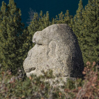 Profile picture for Gary Maltsberger