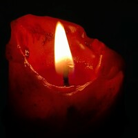 Profile picture for Gauri Kabbur