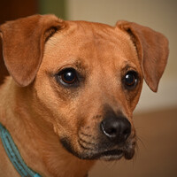 Profile picture for Matthew Palmerchuck