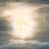 Profile picture for Steve Gandy