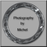 Profile picture for Michel Blanchard