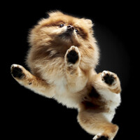 Profile picture for Butch McCartney