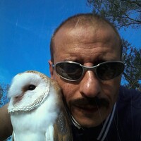 Profile picture for gianni papa
