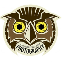 Profile picture for Cameron Sullivan