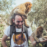 Profile picture for Nicola Guidi