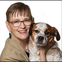 Profile picture for CINDY M BROWN