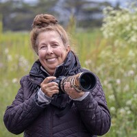 Profile picture for Debora Norz