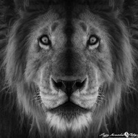Profile picture for Sanjay Narasimhalu