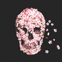 Profile picture for Mine Selin M.