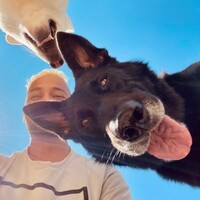 Profile picture for Adi M