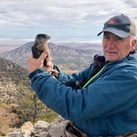Profile picture for Perry Edwards