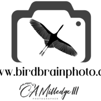 Profile picture for Chuck Milledge