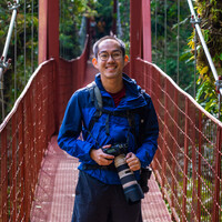 Profile picture for Nicholas Lim