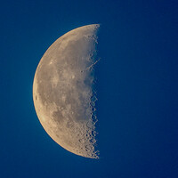 Profile picture for Corinne Cort