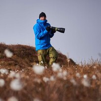 Profile picture for Ståle Brenden