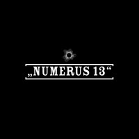 Profile picture for Numerus 13