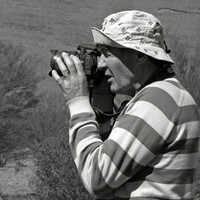 Profile picture for Raymond Hannah