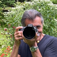 Profile picture for Joseph Li Marzi