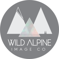 Profile picture for Wild Alpine Image Co.