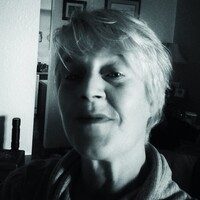 Profile picture for Sylvia Blaauw