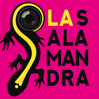 Profile picture for La Salamandra