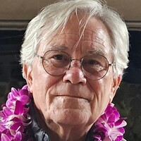 Profile picture for Mark Williamson