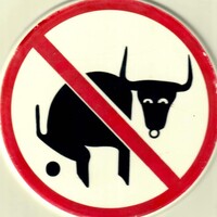 Profile picture for Ken Hunt