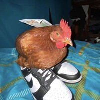 Profile picture for John Camera
